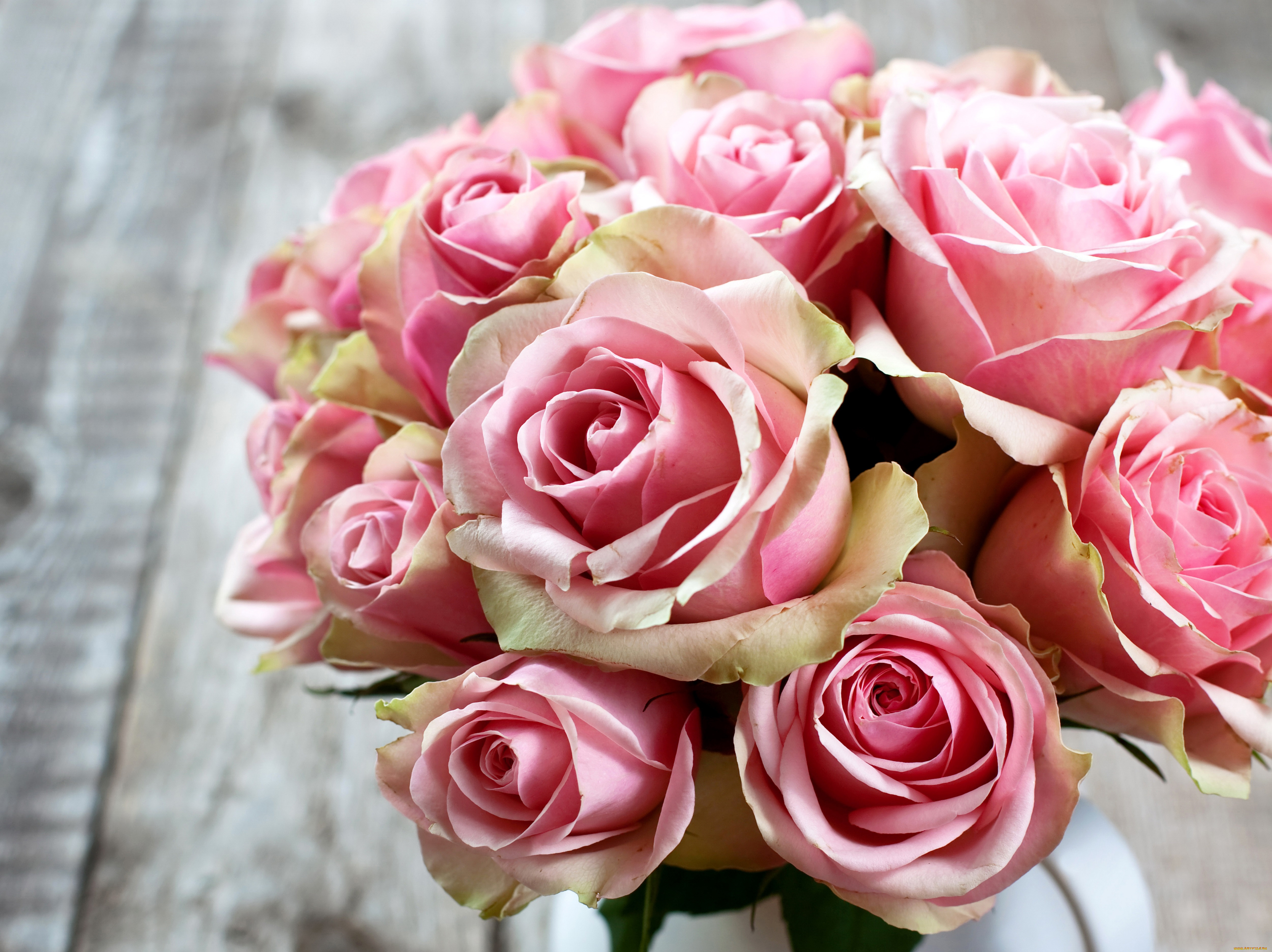 �����, ����